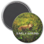 Early Spring magnet