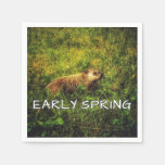 Early Spring napkins
