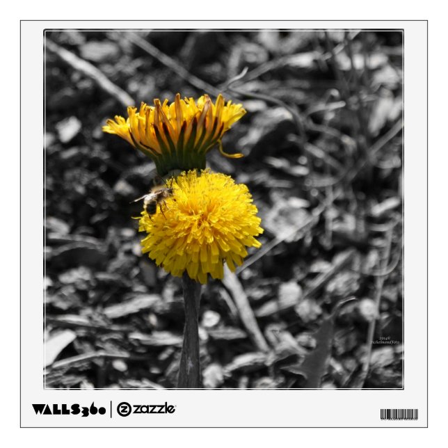 Early Spring Pollination Wall Sticker (Front)