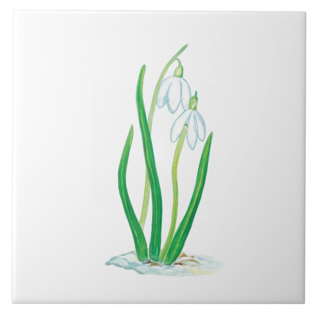 Early Spring Snowdrops   Ceramic Tile (Front)