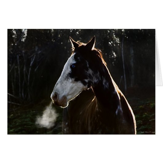 EarlyMornBlues (Front Horizontal)