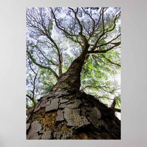 Earpod Tree Poster