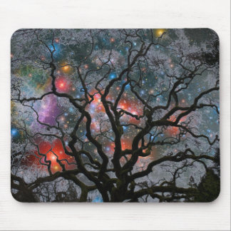 Earth Community Mousepad 6
