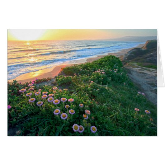 Earth Day Cards (Front Horizontal)