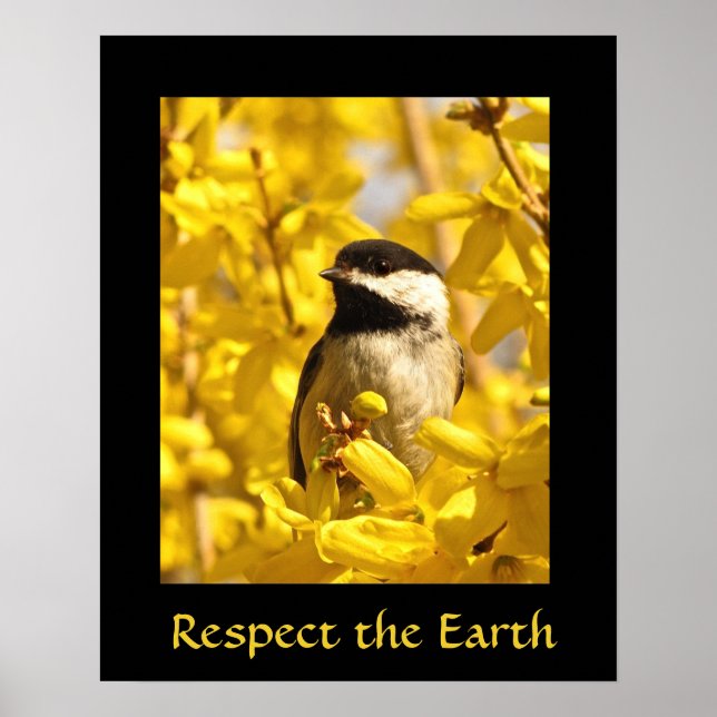 Earth Day Chickadee Bird in Yellow Flowers Print (Front)