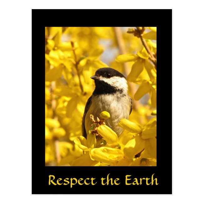 Earth Day Chickadee Bird Yellow Flowers Postcard