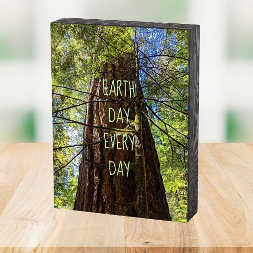 Earth Day Every Day Giant Conifer Tree Wooden Box Sign