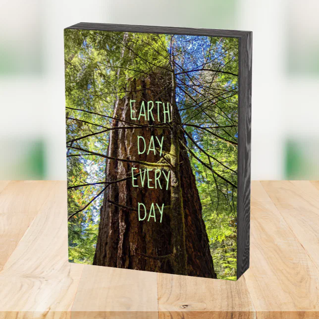 Earth Day Every Day Giant Conifer Tree Wooden Box Sign | Zazzle
