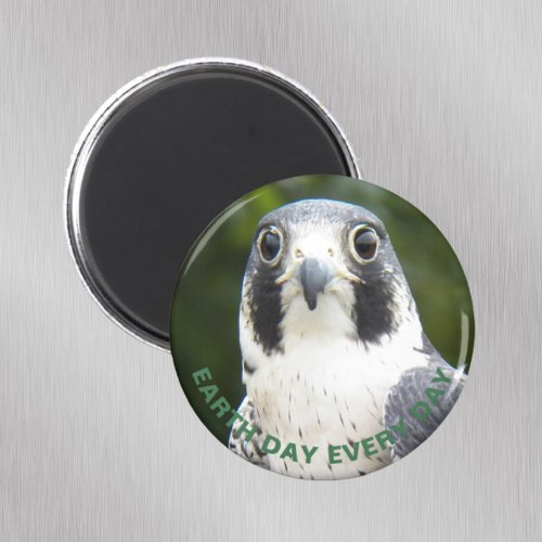 Earth Day Every Day Peregrine Falcon Photo Magnet