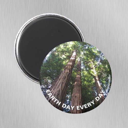 Earth Day Every Day Redwood Trees Magnet