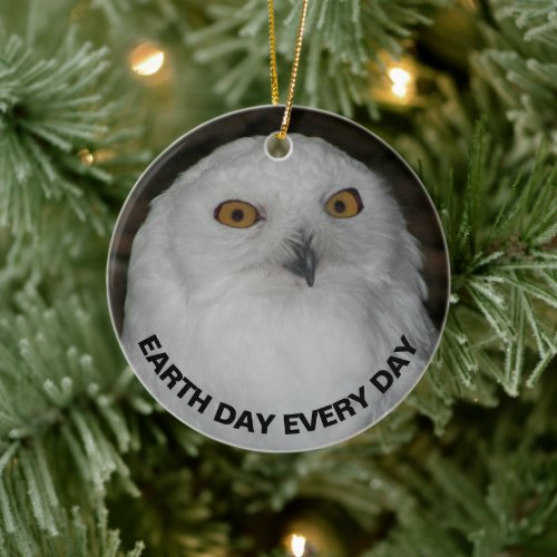 Earth Day Every Day Snowy Owl Nature Photo Ceramic Ornament