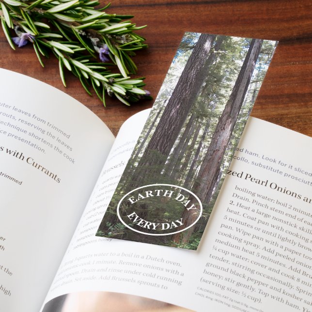 Earth Day Every Day Sunlit Forest Bookmarks (Book)