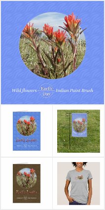 Earth Day - Indian Paint Brush Laughter