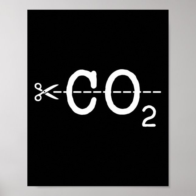 Earth Day Renewable Energy Climate Change Activism Poster (Front)