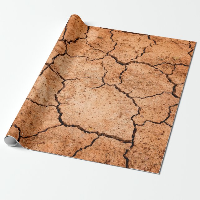 Earth drought floor dryness wrapping paper (Unrolled)