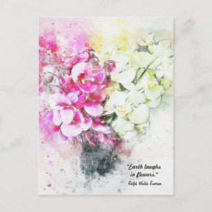 Earth Laughs in Flowers Canvas Floral Postcards