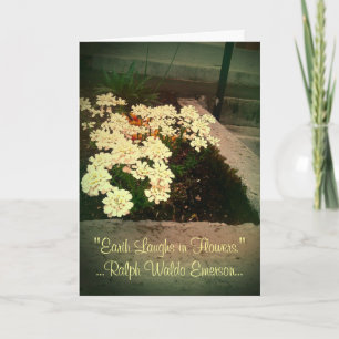 Earth Laughs in Flowers Thank You Card
