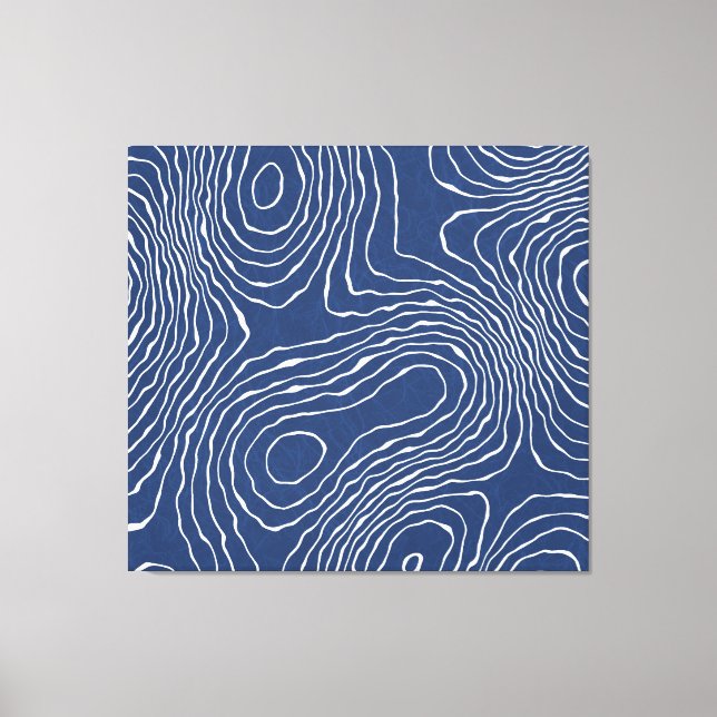 Earth Line Topographic Organic Print. Canvas Print (Front)
