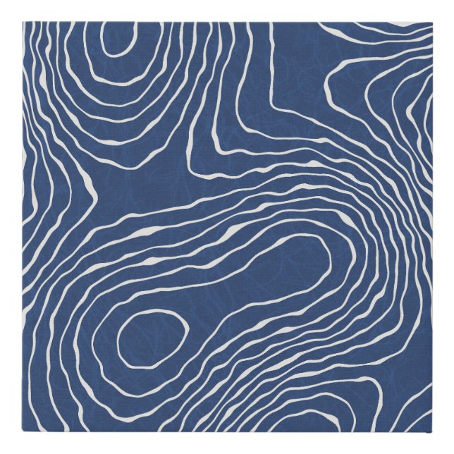 Earth Line Topographic Organic Print. Faux Canvas Print (Front)
