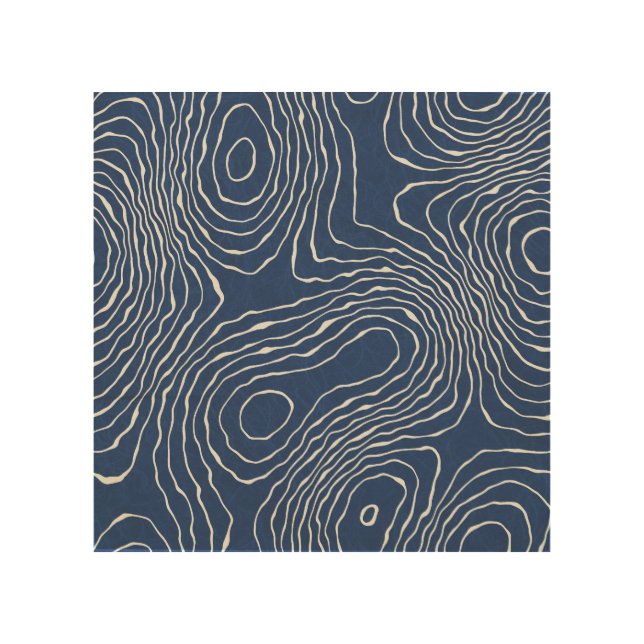 Earth Line Topographic Organic Print. Wood Wall Art (Front)