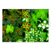 Earth Lover_ (Front Horizontal)