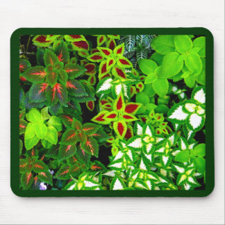 Earth Lover_ Mouse Pad
