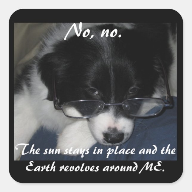 "Earth Revolves Around ME" Stickers - Set of 20 (Front)