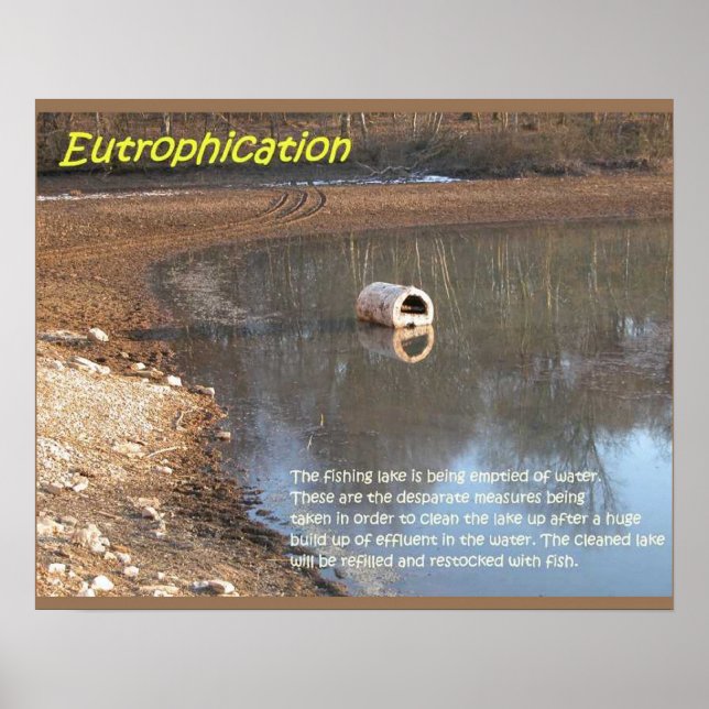 Earth science, Environment, Eutrophication Poster (Front)