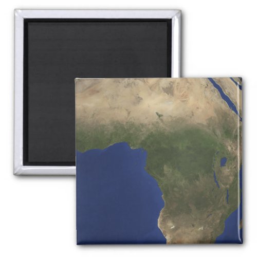 Earth showing landcover over Africa Magnet