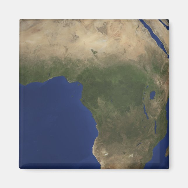 Earth showing landcover over Africa Magnet (Front)