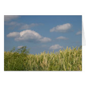 Earth & Sky (Front Horizontal)