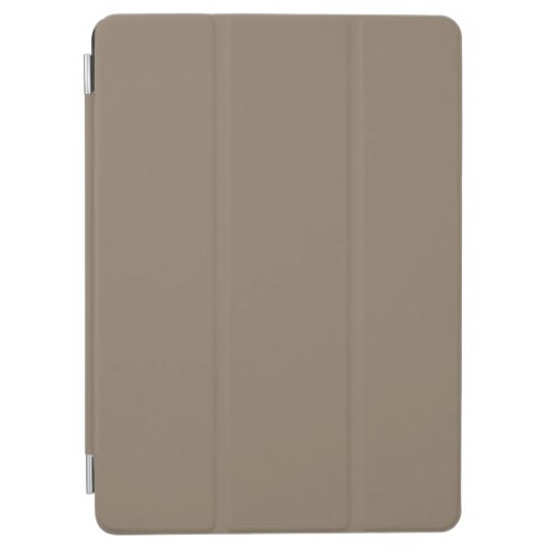Earth tone coffee ground rich saturated solid iPad air cover