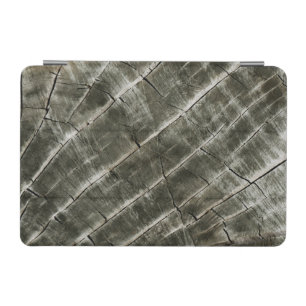 Earth Toned Wood Texture iPad Mini Cover