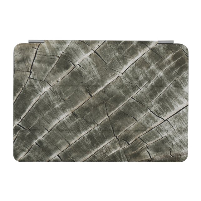 Earth Toned Wood Texture iPad Mini Cover (Horizontal)