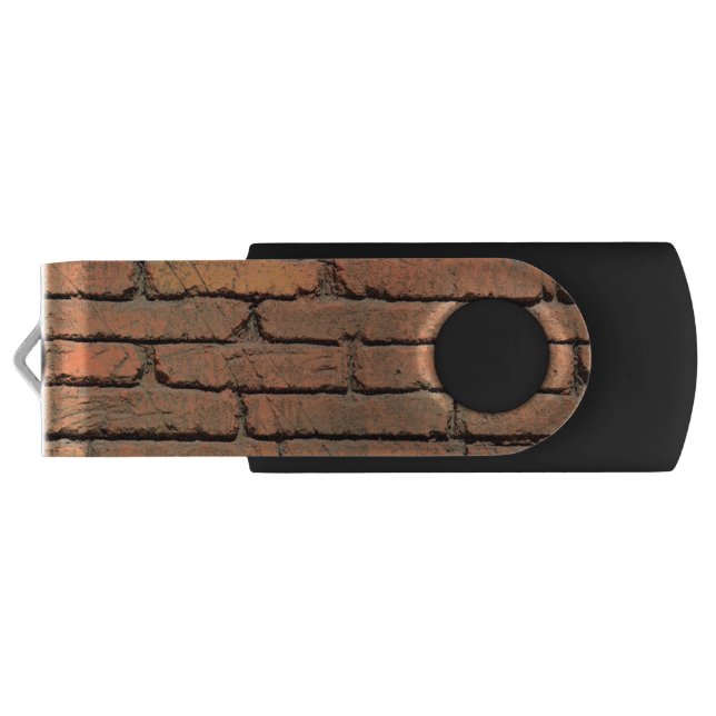 earth wall usb flash drive (Back)
