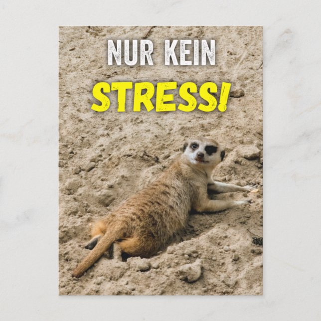Earthman postcard "No stress!" postcard (Front)
