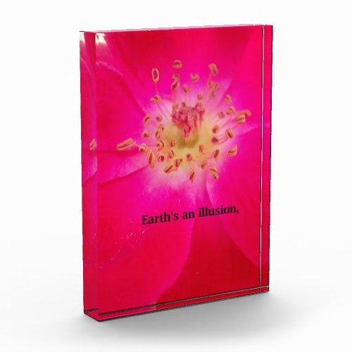 Earths an Illusion Award