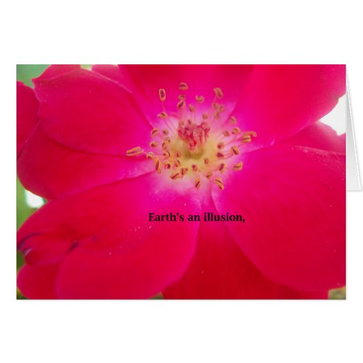 Earth's an Illusion Cards (Front Horizontal)
