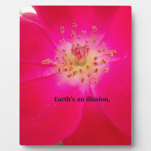 Earths an Illusion Plaque