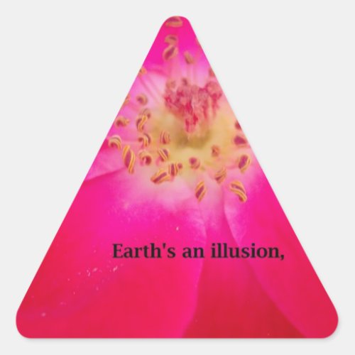 Earths an Illusion Triangle Sticker
