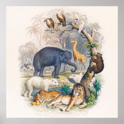 Earths Animals Poster