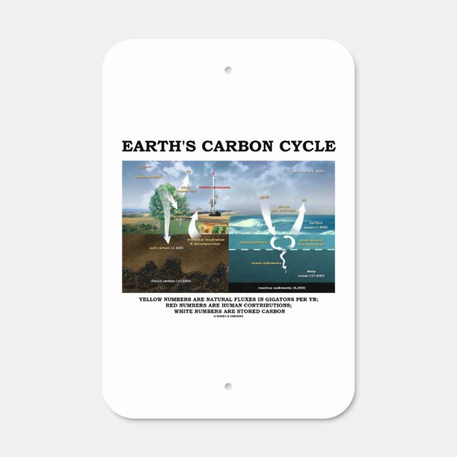 Earth's Carbon Cycle Earth Science Environmental Metal Sign (Front)