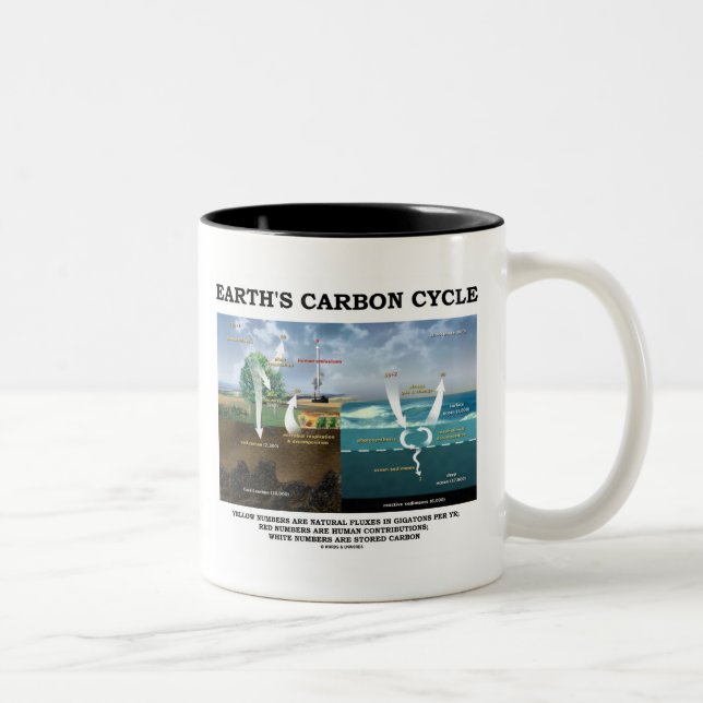 Earth's Carbon Cycle Earth Science Environmental Two-Tone Coffee Mug (Right)