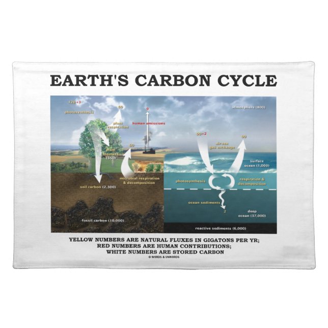 Earth's Carbon Cycle (Earth Science) Placemat (Front)