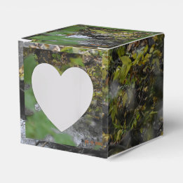 Earth's Enchantments Favor Boxes