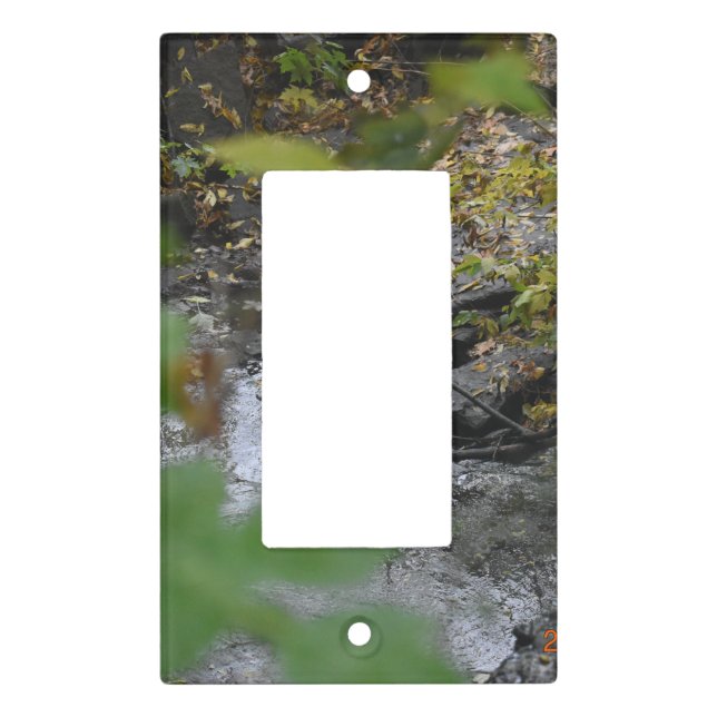 Earth's Enchantments Light Switch Cover (Front)