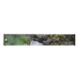 Earth's Enchantments  Ruler