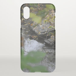 Earth's Enchantments iPhone X Case