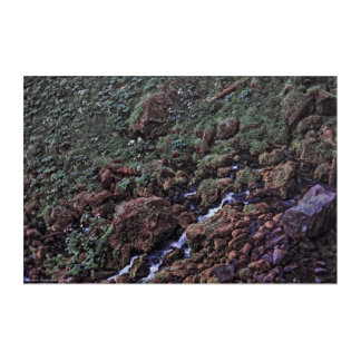 EarthTone Acrylic Print