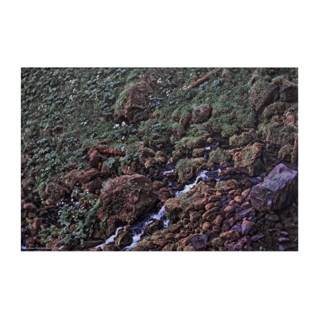 EarthTone Acrylic Print (Front)